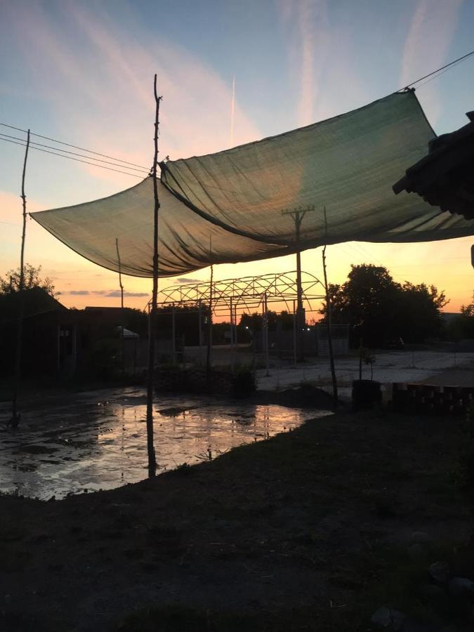 Anza Camping Shkodër Extérieur photo