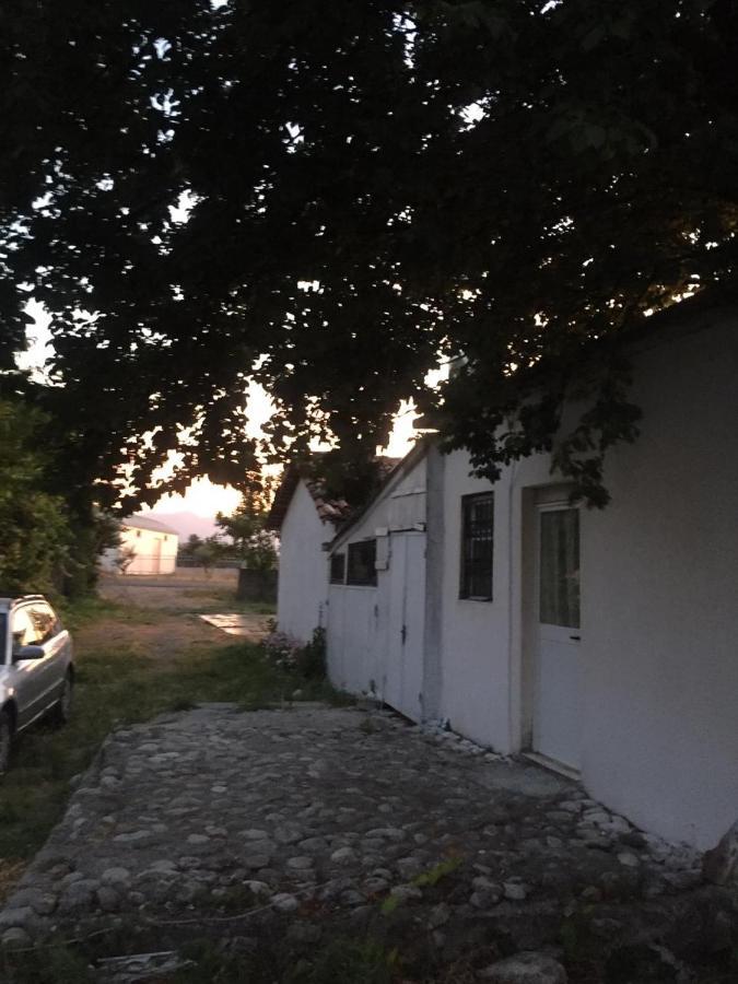 Anza Camping Shkodër Extérieur photo